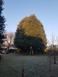 9940aba8-7edf-4c30-9646-8e5f31ed4672-0h