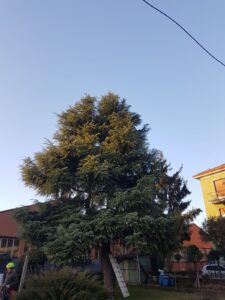 ce974985-7ba2-4cc8-bc17-6631cfd65ddc-0h