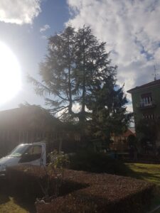 13b67e2e-9cd8-4253-9d58-672fab67bdeb