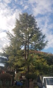 f5dd8066-ae28-42ad-87ab-7f7d7be169da