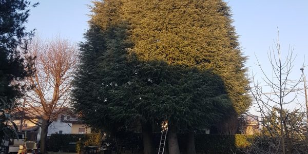 9940aba8-7edf-4c30-9646-8e5f31ed4672-0h